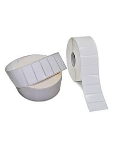 Zebra PolyE 3100T Vit