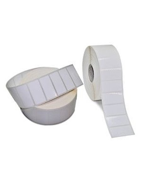 Zebra PolyE 3100T Vit